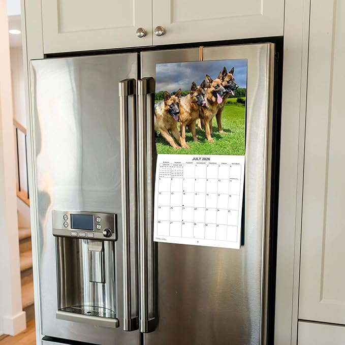 2026 German Shepherds Monthly Wall Calendar | Dog Calendar September 2025 - December 2026
