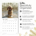 RED EMBER Cockapoos 2026 Wall Calendar 12 Month | 12" x 24" Open | Thick & Sturdy Paper | Holiday Gift | Cute Puppy Dog Calendar 2026