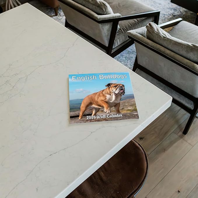 2026 English Bulldogs Monthly Wall Calendar | Cute Dogs Calendar September 2025 - December 2026