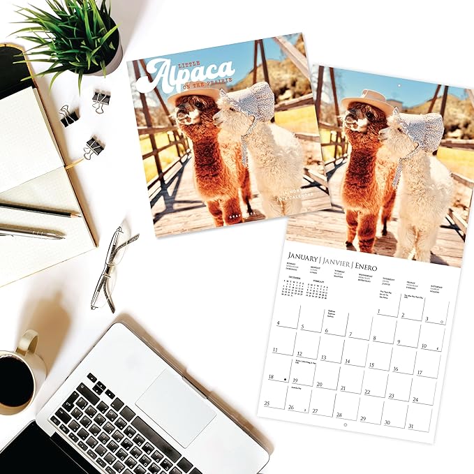 Graphique 2026 Little Alpaca on the Prairie Wall Calendar | 12” x 12” | Thick Paper | Home & Office Organizer | Large Monthly Grid | 3 Languages & Marked Holidays | 4 Month Preview Page for 2027