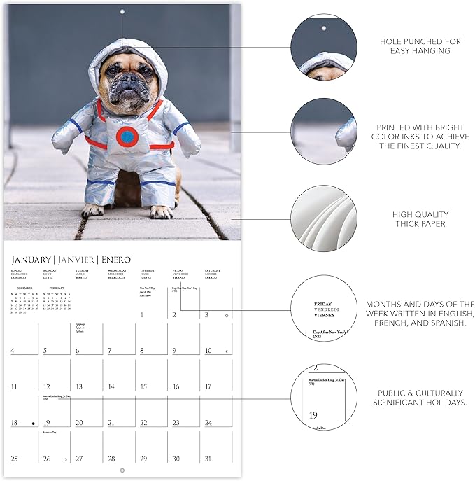 Graphique 2026 Costume Pawty Wall Calendar | 12” x 12” | Thick Paper | Home & Office Organizer | Large Monthly Grid | 3 Languages & Marked Holidays | 4 Month Preview Page for 2027