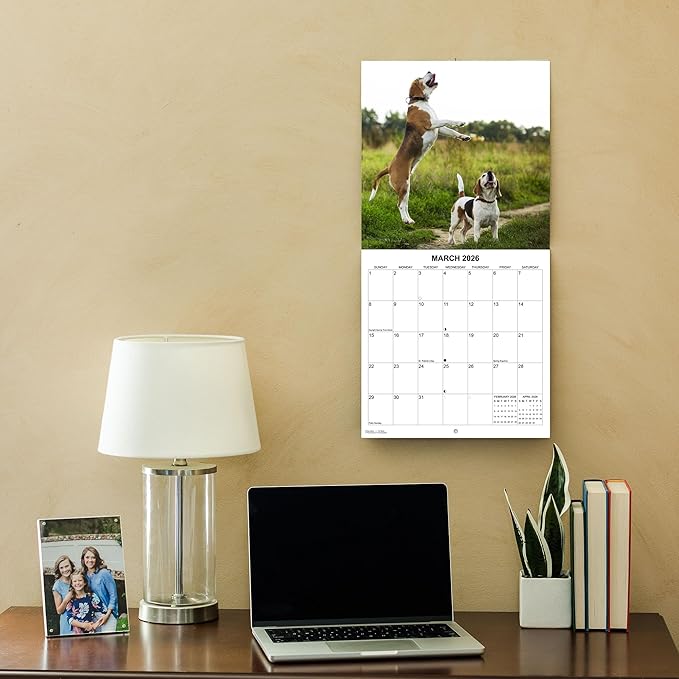 2026 Beagles Monthly Wall Calendar | Cute Dog Calendar September 2025 - December 2026