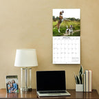 2026 Beagles Monthly Wall Calendar | Cute Dog Calendar September 2025 - December 2026