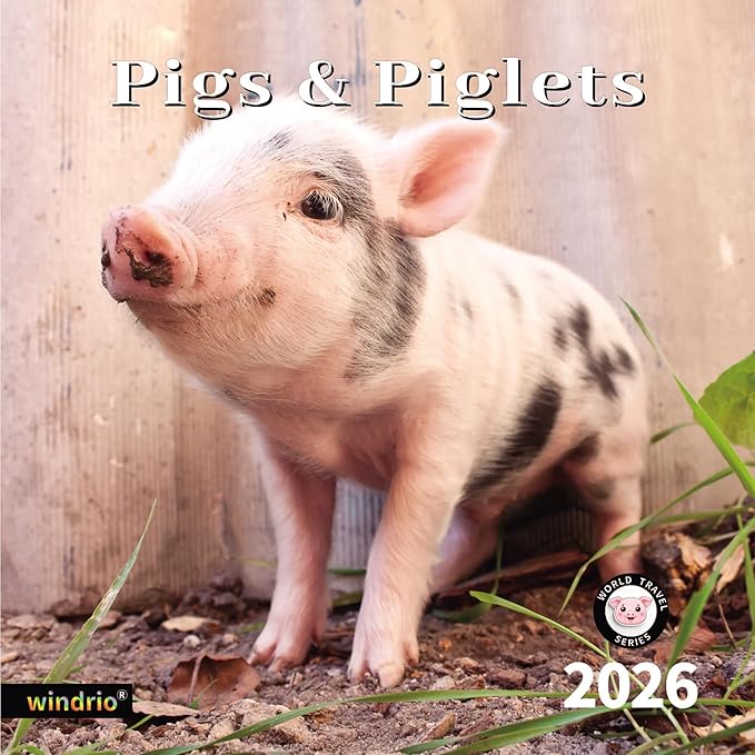 2026 Wall Calendar,Calendar 2026, November 2025 - December 2026, Wall Calendar Pigs & Piglets, 12" x 24" Opened,Full Page Months Thick & Sturdy Paper for Gift Perfect Calendar Organizing & Planning