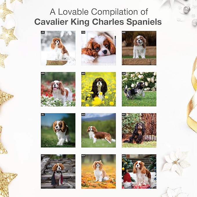 RED EMBER Cavalier King Charles Spaniels 2026 Wall Calendar 12 Month | 12" x 24" Open | Thick & Sturdy Paper | Holiday Gift | Cute Puppy Dog Calendar 2026