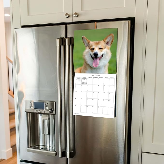 2026 Smiling Dogs Monthly Wall Calendar | Funny Happy Dogs Calendar September 2025 - December 2026