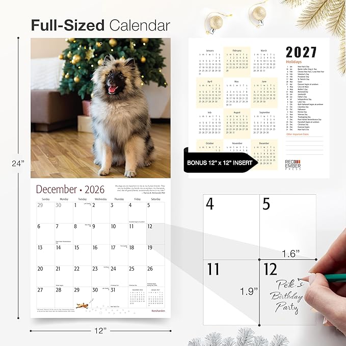 RED EMBER Keeshonden 2026 Wall Calendar 12 Month | 12" x 24" Open | Thick & Sturdy Paper | Holiday Gift | Cute Puppy Dog Calendar 2026