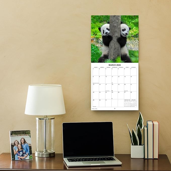 2026 Baby Pandas Monthly Wall Calendar | Cute Baby Animals Calendar 2025-2026
