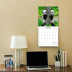 2026 Baby Pandas Monthly Wall Calendar | Cute Baby Animals Calendar 2025-2026