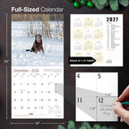 MICASA PRESS Chocolate Labs 2026 Wall Calendar 12 Month | 12" x 24" Open | Thick & Sturdy Paper | Holiday Gift | Cute Labrador Retriever Puppy Dog Calendar 2026
