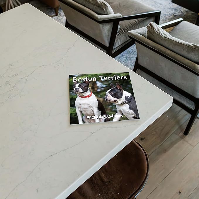 2026 Boston Terriers Monthly Wall Calendar | Dog Calendar September 2025- December 2026