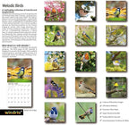 windrio 2026 Wall Calendar, Calendar 2026, November 2025 - December 2026, Wall Calendar Song Birds, 12" x 24" Opened,Full Page Months Thick & Sturdy Paper for Calendar Organizing & Planning