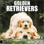 RED EMBER Golden Retrievers 2026 Wall Calendar 12 Month | 12" x 24" Open | Thick & Sturdy Paper | Holiday Gift | Cute Puppy Dog Calendar 2026