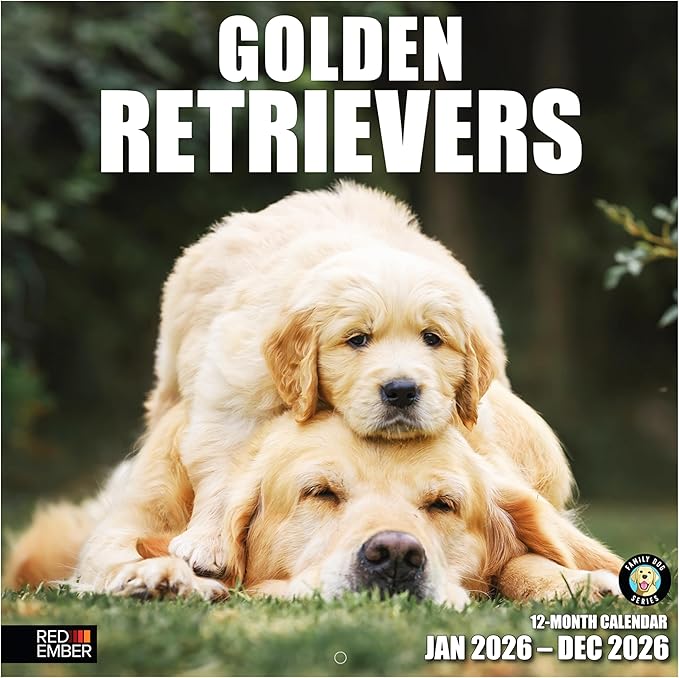 RED EMBER Golden Retrievers 2026 Wall Calendar 12 Month | 12" x 24" Open | Thick & Sturdy Paper | Holiday Gift | Cute Puppy Dog Calendar 2026
