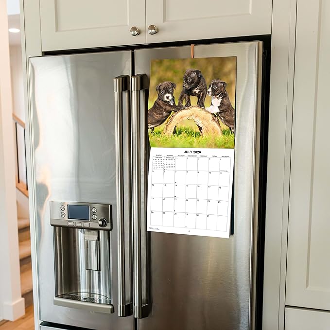 2026 Pit Bulls Monthly Wall Calendar | Pitbull Dog Calendar September 2025 - December 2026