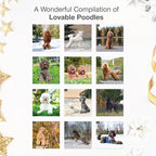 RED EMBER Poodles 2026 Wall Calendar 12 Month | 12" x 24" Open | Thick & Sturdy Paper | Holiday Gift | Cute Puppy Dog Calendar 2026