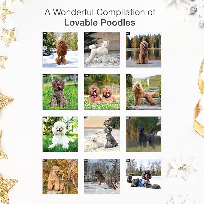 RED EMBER Poodles 2026 Wall Calendar 12 Month | 12" x 24" Open | Thick & Sturdy Paper | Holiday Gift | Cute Puppy Dog Calendar 2026