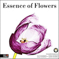RED EMBER Essence of Flowers 2026 Wall Calendar 12 Month | 12" x 24" Open | Thick & Sturdy Paper | Holiday Gift | Garden Nature Art Calendar 2026