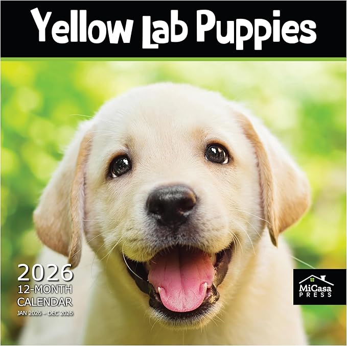 MICASA PRESS Yellow Lab Puppies 2026 Wall Calendar 12 Month | 12" x 24" Open | Thick & Sturdy Paper | Holiday Gift | Cute Labrador Retriever Puppy Dog Calendar 2026