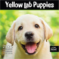 MICASA PRESS Yellow Lab Puppies 2026 Wall Calendar 12 Month | 12" x 24" Open | Thick & Sturdy Paper | Holiday Gift | Cute Labrador Retriever Puppy Dog Calendar 2026