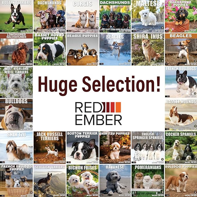RED EMBER Basset Hounds 2025 Wall Calendar 12 Month | 12" x 24" Open | Thick & Sturdy Paper | Giftable | Dog Calendar 2025