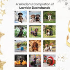 RED EMBER Dachshunds 2026 Mini Wall Calendar 12 Month | 7" x 14" Open | Thick & Sturdy Paper | Holiday Gift | Cute Puppy Weiner Dog Calendar 2026