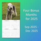 2026 Ugly Dogs Monthly Wall Calendar | Funny White Elephant Gift Gag Gift Calendar September 2025 - December 2026