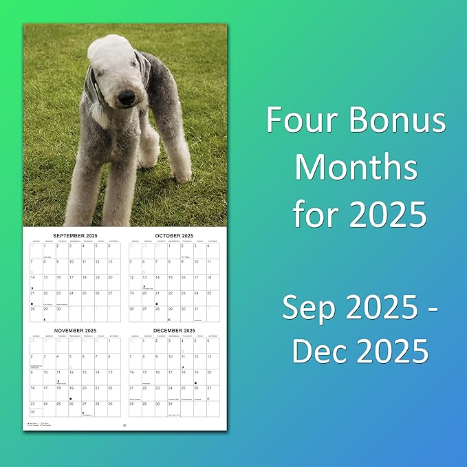 2026 Ugly Dogs Monthly Wall Calendar | Funny White Elephant Gift Gag Gift Calendar September 2025 - December 2026