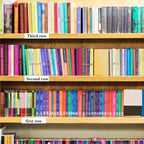 Containlol 15 Pieces Moveable Shelf Label Holders Clear Shelves Tags Moveable Library Markers Transparent Shelf Label Display Holder for Classroom Office Library Book Shelves(3.03 x 9.06 x 0.63 Inch)
