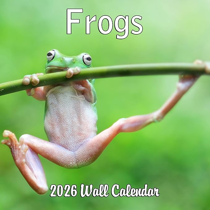 2026 Frogs Monthly Wall Calendar | Animals Calendar 2025-2026