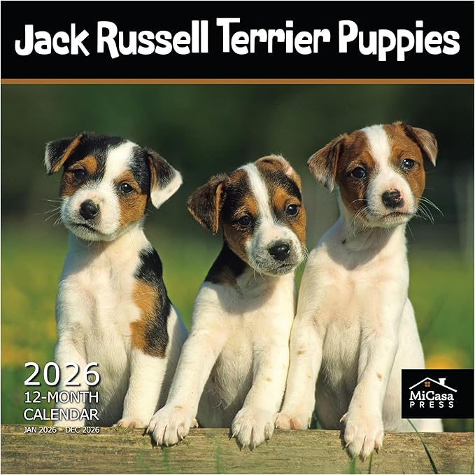 MICASA PRESS Jack Russell Terrier Puppies 2026 Wall Calendar 12 Month | 12" x 24" Open | Thick & Sturdy Paper | Holiday Gift | Cute Puppy Dog Calendar 2026