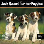 MICASA PRESS Jack Russell Terrier Puppies 2026 Wall Calendar 12 Month | 12" x 24" Open | Thick & Sturdy Paper | Holiday Gift | Cute Puppy Dog Calendar 2026