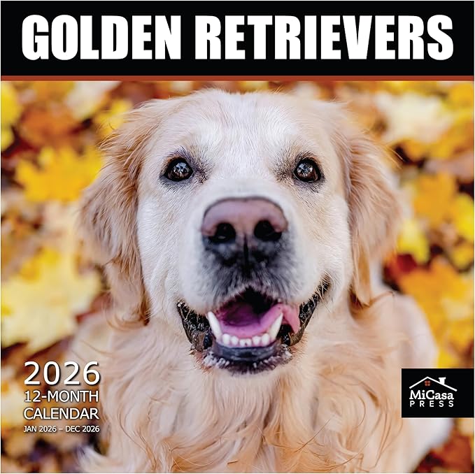 MICASA PRESS Golden Retrievers 2026 Wall Calendar 12 Month | 12" x 24" Open | Thick & Sturdy Paper | Holiday Gift | Cute Puppy Dog Calendar 2026
