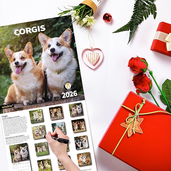 2026 Wall Calendar,Calendar 2026, November 2025 - December 2026, Wall Calendar Corgis, 12" x 24" Opened,Full Page Months Thick & Sturdy Paper for Gift Perfect Calendar Organizing & Planning