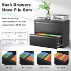 Pataku Lateral File Cabinet, 2 Drawer File Cabinet with Lock, Black Filing Cabinets for Home Office, Metal File Cabinet for Hanging Files/Letters/Legal/F4/A4(2Drawer/Black)