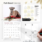 RED EMBER Whippets 2026 Wall Calendar 12 Month | 12" x 24" Open | Thick & Sturdy Paper | Holiday Gift | Cute Puppy Dog Calendar 2026