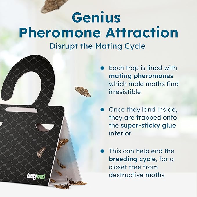 BugMD Clothes & Pantry Moth Traps (6 Count) – Sticky Glue Pheromone-Based Repellent for Closets, Cabinets & Wardrobes – Non-Toxic - Black