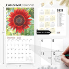 RED EMBER Sunflowers 2026 Wall Calendar 12 Month | 12" x 24" Open | Thick & Sturdy Paper | Holiday Gift | Nature Calendar 2026
