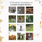 RED EMBER English Setters 2026 Wall Calendar 12 Month | 12" x 24" Open | Thick & Sturdy Paper | Holiday Gift | Cute Puppy Dog Calendar 2026