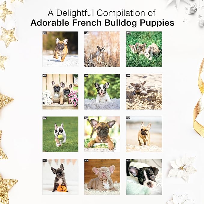 RED EMBER French Bulldog Puppies 2026 Mini Wall Calendar 12 Month | 7" x 14" Open | Thick & Sturdy Paper | Holiday Gift | Cute Frenchie Puppy Dog Calendar 2026