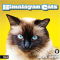RED EMBER Himalayan Cats 2026 Wall Calendar 12 Month | 12" x 24" Open | Thick & Sturdy Paper | Holiday Gift | Cute Kitten Cat Calendar 2026