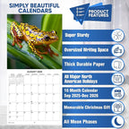 2026 Frogs Monthly Wall Calendar | Animals Calendar 2025-2026