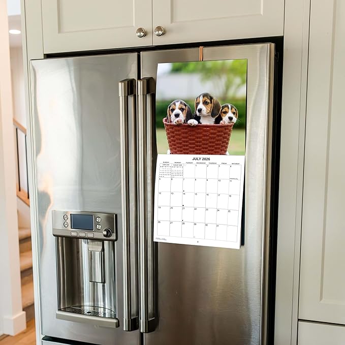 2026 Beagles Monthly Wall Calendar | Cute Dog Calendar September 2025 - December 2026