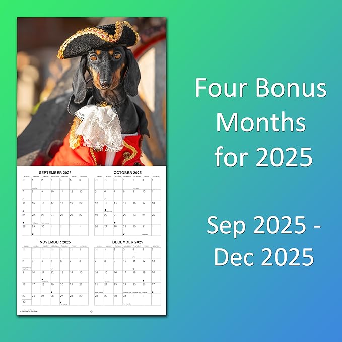 2026 Dachshunds at Work Weiner Dog Monthly Wall Calendar | Funny Wiener Dog Calendar September 2025 - December 2026