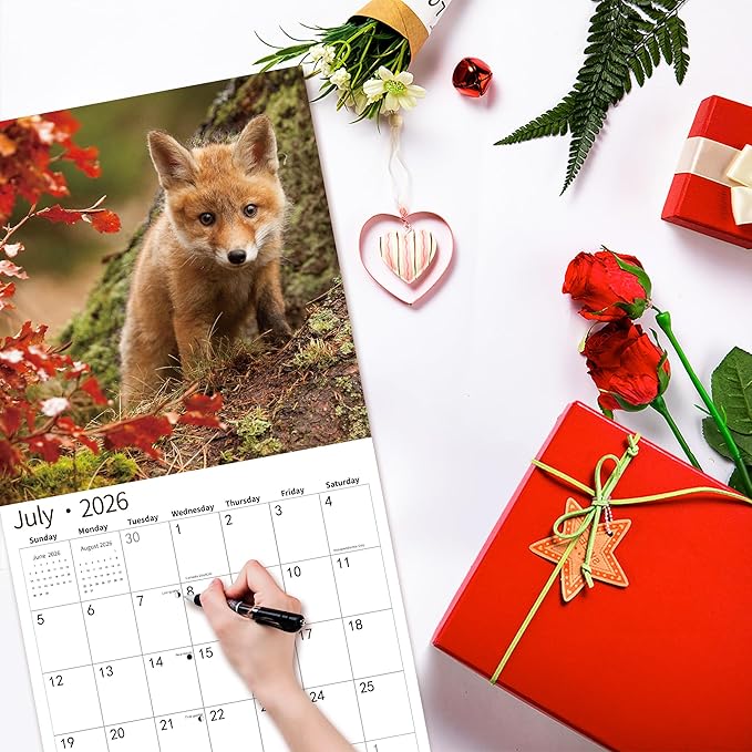 windrio 2026 Wall Calendar, Calendar 2026, July 2025 - December 2026, Wall Calendar Baby Foxes, 12" x 24" Opened,Full Page Months Thick & Sturdy Paper for Calendar Organizing & Planning