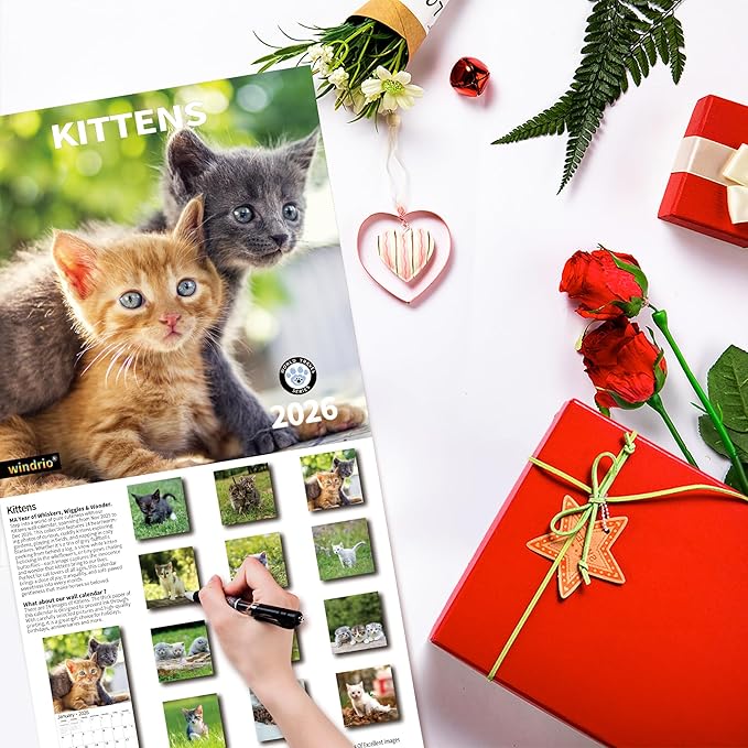 2026 Wall Calendar,Calendar 2026, November 2025 - December 2026, Wall Calendar Kittens, 12" x 24" Opened,Full Page Months Thick & Sturdy Paper for Gift Perfect Calendar Organizing & Planning