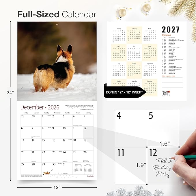 RED EMBER Corgi Butts 2026 Wall Calendar 12 Month | 12" x 24" Open | Thick & Sturdy Paper | Holiday Gift | Funny Cute Puppy Dog Calendar 2026