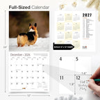 RED EMBER Corgi Butts 2026 Wall Calendar 12 Month | 12" x 24" Open | Thick & Sturdy Paper | Holiday Gift | Funny Cute Puppy Dog Calendar 2026