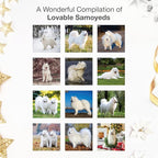 RED EMBER Samoyeds 2026 Wall Calendar 12 Month | 12" x 24" Open | Thick & Sturdy Paper | Holiday Gift | Cute Puppy Dog Calendar 2026
