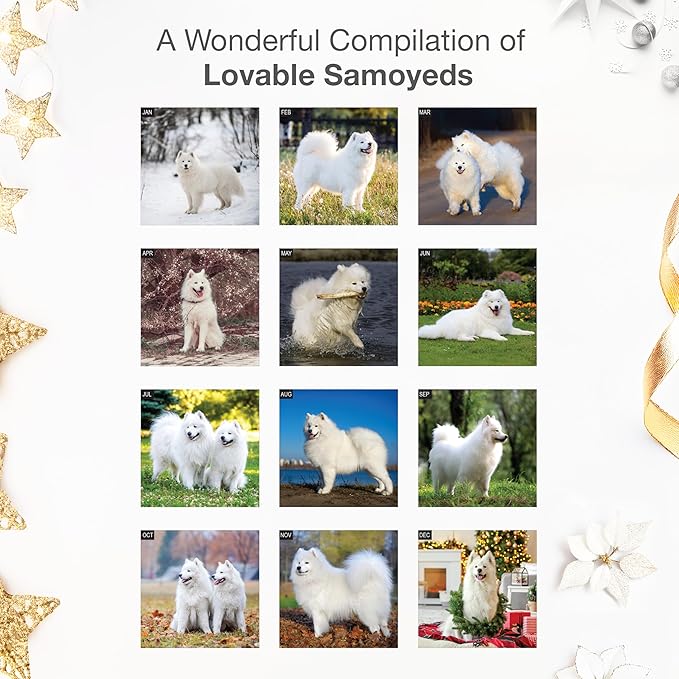 RED EMBER Samoyeds 2026 Wall Calendar 12 Month | 12" x 24" Open | Thick & Sturdy Paper | Holiday Gift | Cute Puppy Dog Calendar 2026
